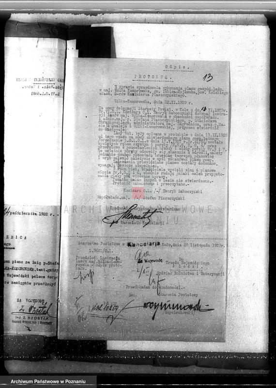 Obraz 17 z jednostki "Sprawa zniesienia nakazu zabraniającego prowadzenia użytkowania lasu w majątku Wólka-Komorowska powiat kolski gmina Izbica"