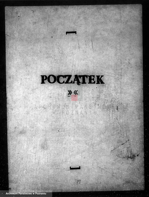 Obraz 3 z jednostki "Majętność leśna w Sarbii w powiecie czarnkowskim"