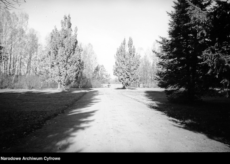 image.from.unit.number "Białowieża"