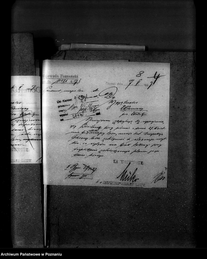 Obraz 12 z jednostki "Majętność leśna Wroniawy powiat wolsztyński"