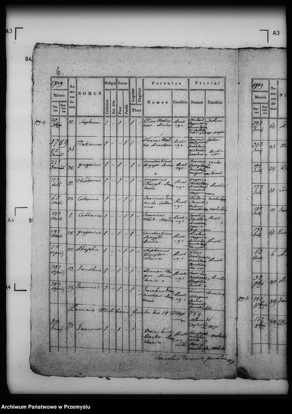 Obraz 10 z jednostki "[Kopie ksiąg metrykalnych parafii Modrycz z filią Solec (dekanat Drohobycz)]"