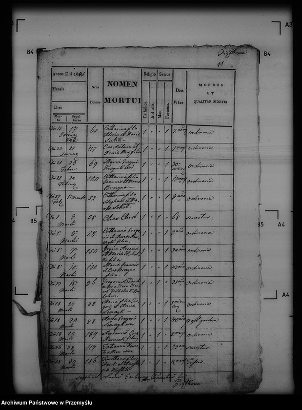 Obraz 15 z jednostki "[Kopie ksiąg metrykalnych parafii Piątkowa Ruska (dekanat Bircza)]"