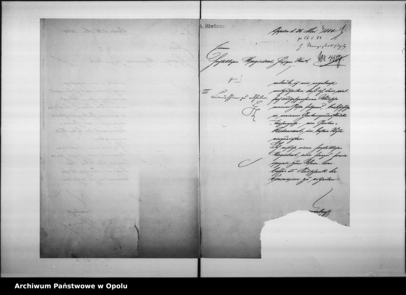 Obraz 5 z jednostki "Acta des Magistrats zu Oppeln betreffend den Wein- u.[nd] Bier-Ausschank im Siwinna