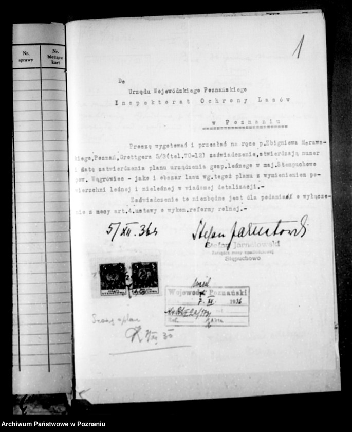 Obraz 5 z jednostki "Las majętności Stępuchowo powiat wągrowiecki"