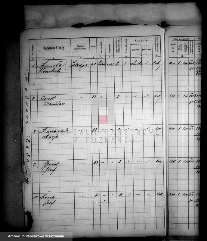 Obraz 12 z jednostki "Przewłaszczenie parcel z dóbr Samostrzel powiatu wyrzyskiego"