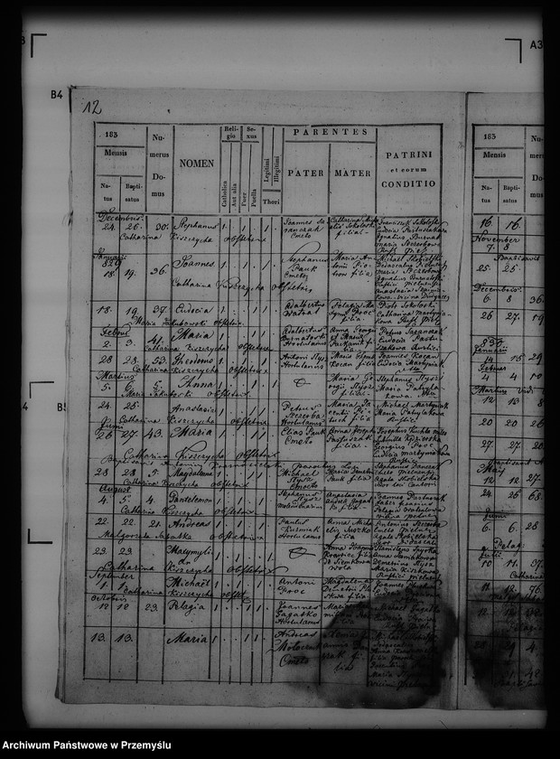 image.from.unit.number "[Kopie ksiąg metrykalnych parafii Pielnia z filiami Dudyńce, Pobiedno, Jędruszkowice, Markowice, Podgaj (dekanat Buków)]"