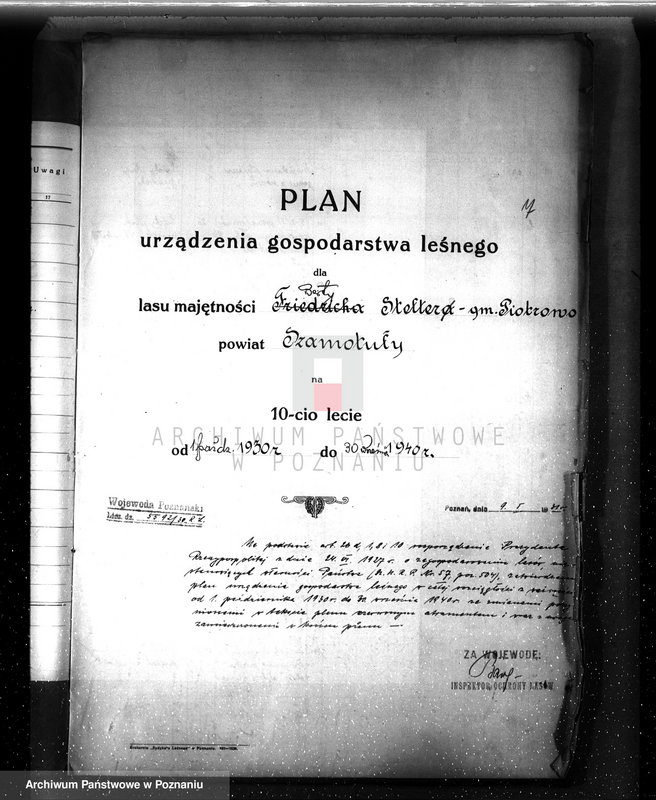 Obraz 11 z jednostki "Plan urządzenia gospodarstwa leśnego dla lasu Berty Stelter w Piotrowie powiat szamotulski 1930-1940"