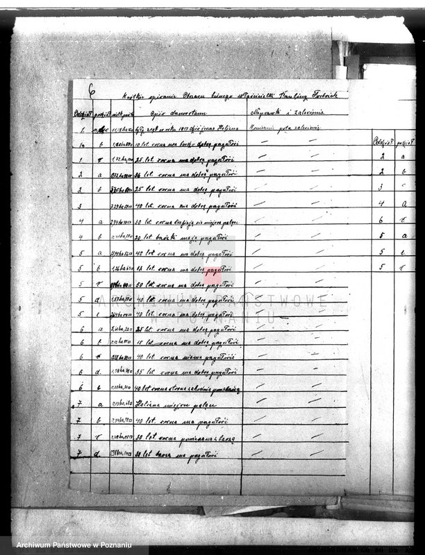 Obraz 10 z jednostki "Nadzór nad gospodarką w lasach majątku Bukowce powiat międzychodzki"