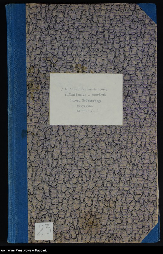 Obraz 1 z jednostki "[Duplikat akt urodzonych, zaślubionych i zmarłych Okręgu Bóżniczego Przysucha za 1891 r.]"