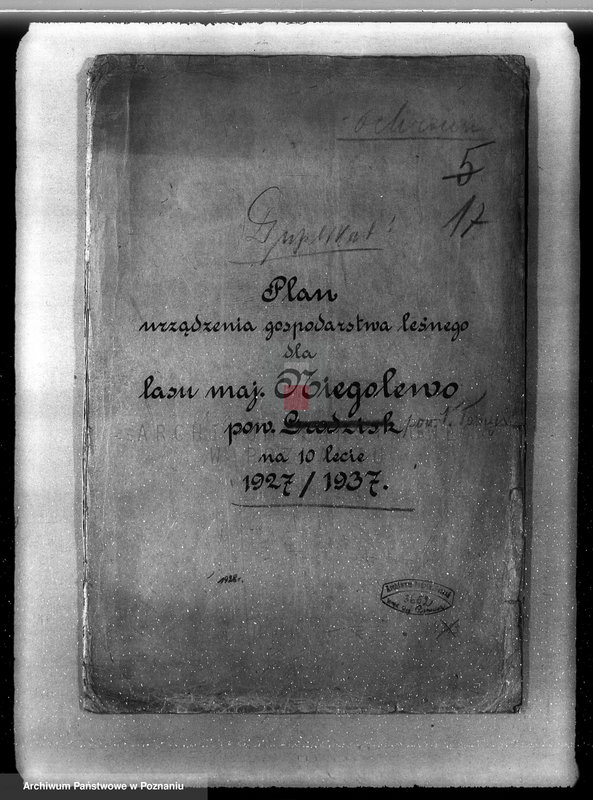 Obraz 4 z jednostki "Plan urządzenia gospodarstwa leśnego dla lasu majątku Niego lewo powiat nowotomyski 1927-1937"