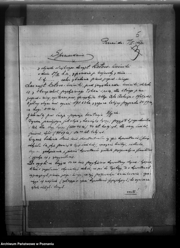 Obraz 9 z jednostki "Majętność leśna Kotowo-Wożniki powiat nowotomyski"