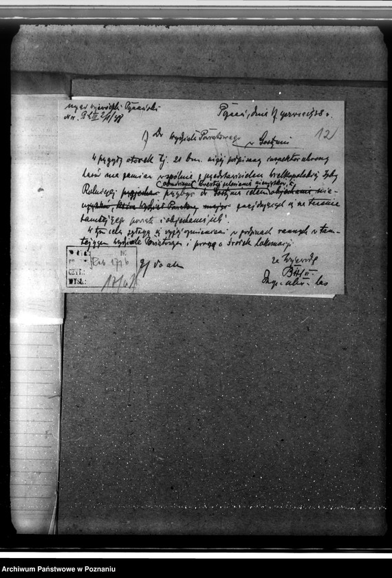 Obraz 16 z jednostki "Zalesienie nieużytków w powiecie gostyńskim"