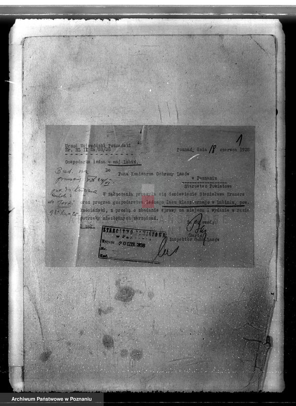 Obraz 5 z jednostki "Program urządzania gospodarstwa leśnego dla lasu klasztoru O.O Benedyktynów w Lubiniu powiat kościański"