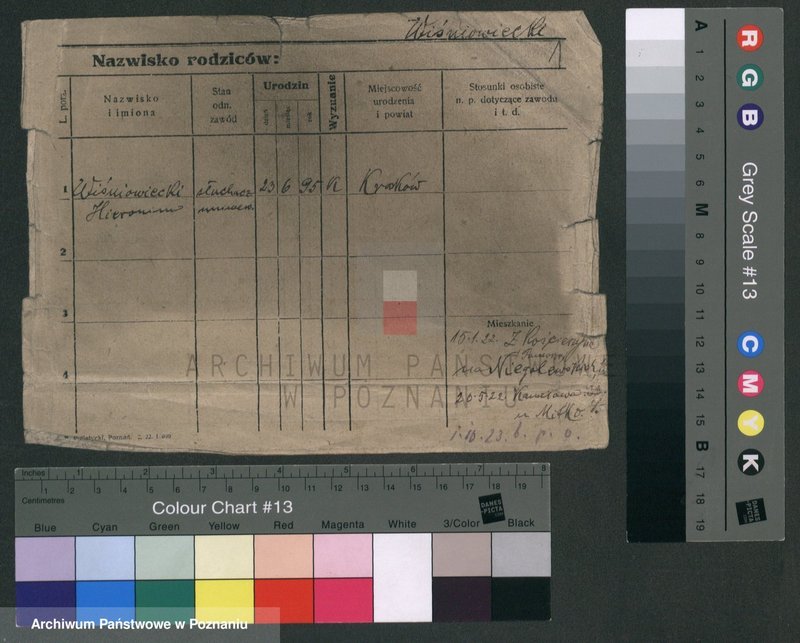 Obraz 5 z jednostki "Wiśniowiecki - Witczak"