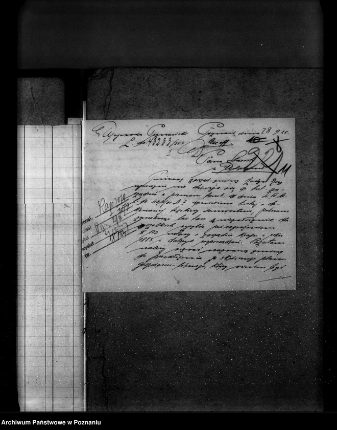 Obraz 15 z jednostki "Las gromady Żodyń Nowy powiat wolsztyński"