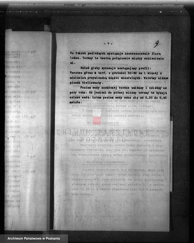 Obraz 13 z jednostki "Dodatkowy plan gospodarstwa leśnego majątku Niemierzewo powiatu międzychodzkiego 1938-1948"