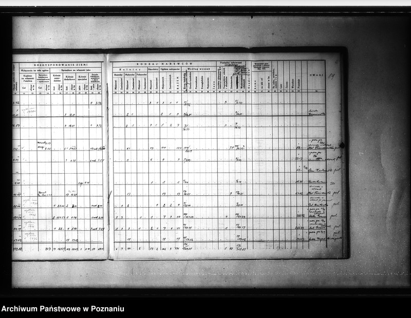 Obraz 19 z jednostki "/Zestawienie /wykaz/ rozdysponowania ziemi na cele parcelacyjne powiatu gostyńskiego"