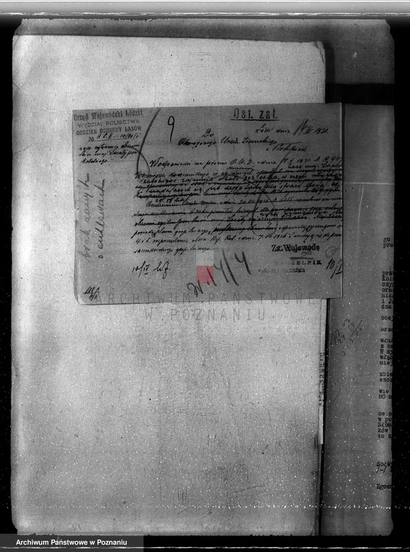 Obraz 13 z jednostki "Sprawa lasów majątku Sacały powiat kolski gmina Koźmin"