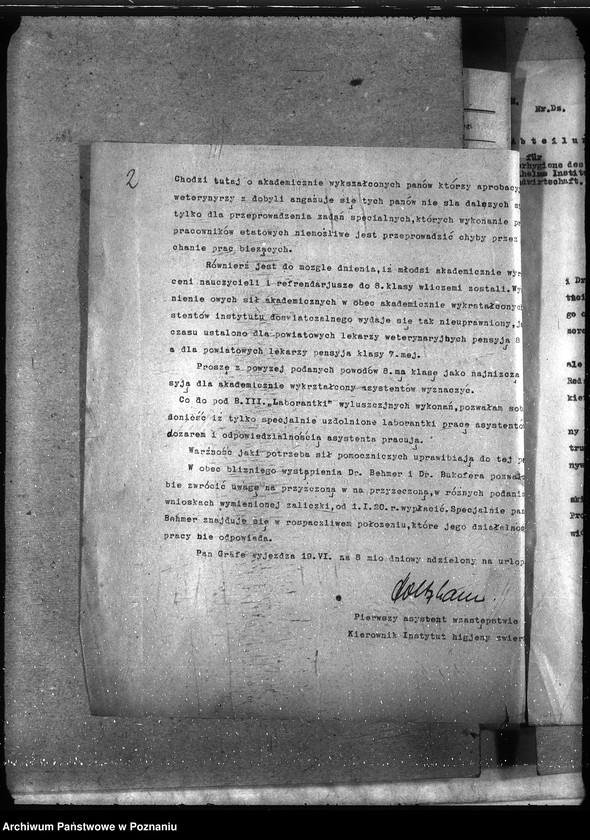 Obraz 6 z jednostki "Instytut Higieny Zwierząt w Bydgoszczy"