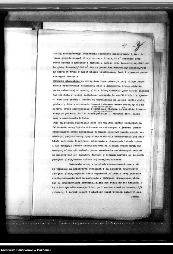 Obraz 15 z jednostki "Majętność leśna Smolice w powiecie gostyńskim"