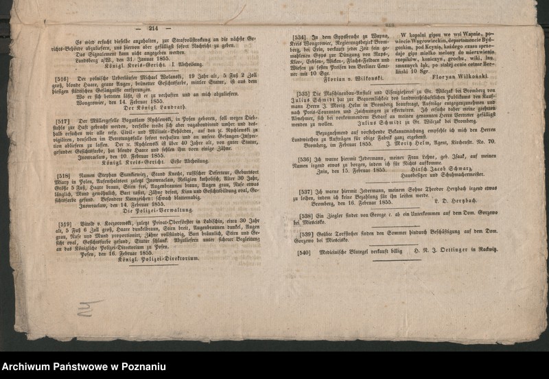 Obraz 17 z jednostki "A. betr. Witold Koczorowski"