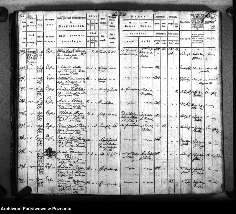 Obraz 16 z jednostki "Sterbenbuch"