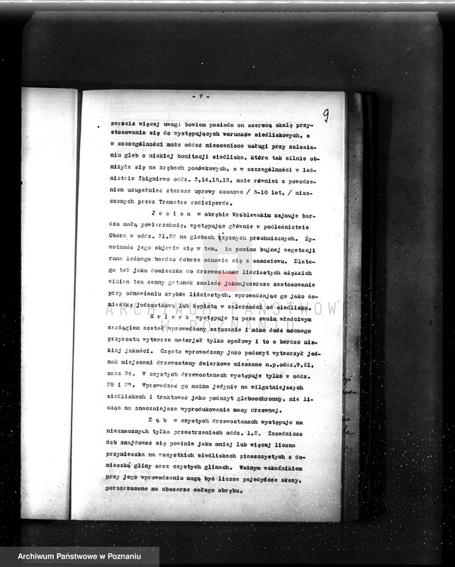 Obraz 13 z jednostki "Operat urządzeniowy lasów ordynacji Wróblewa Przem. Hr. Kwileckiego 1931-1941"