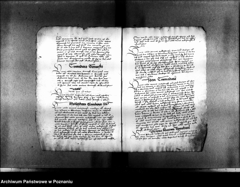 Obraz 13 z jednostki "Resignationes ,inscriptiones, relationes, decreta [protocollon]"