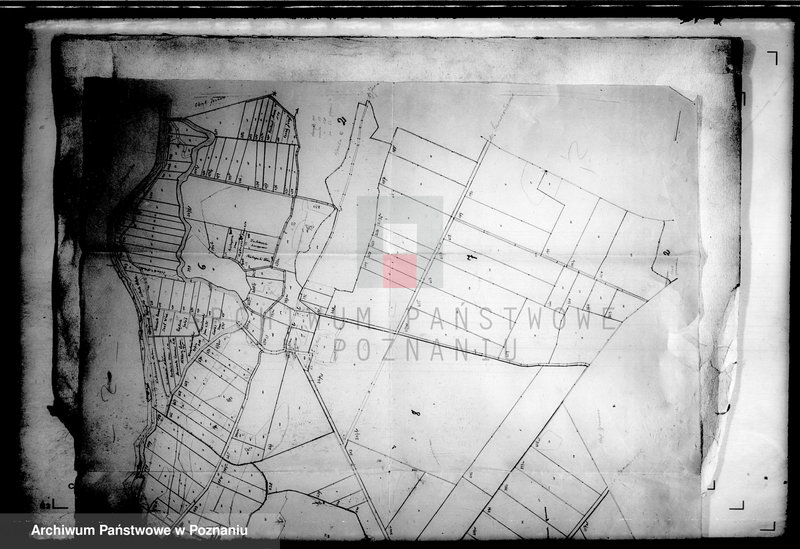 Obraz 5 z jednostki "Łabiszyn powiatu szubińskiego plany parcelowanego majątku"