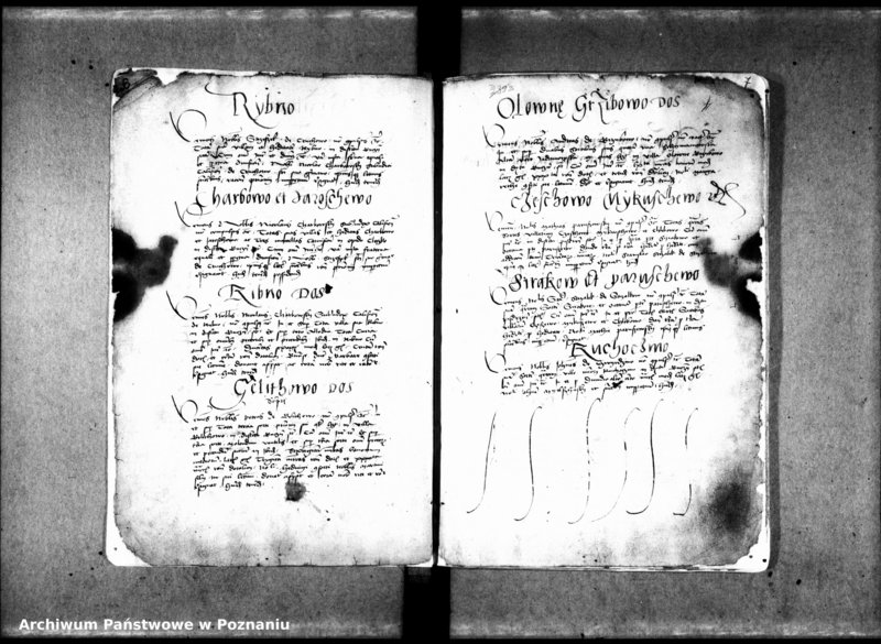 Obraz 7 z jednostki "Resignationes [inducta;protocollon]"