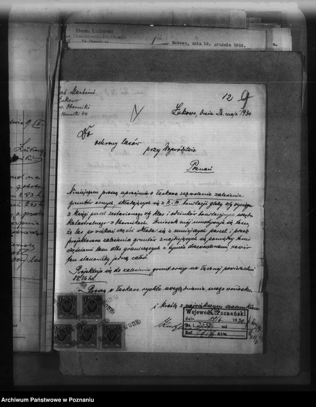 Obraz 17 z jednostki "Majętność leśna Łukowo powiat obornicki"