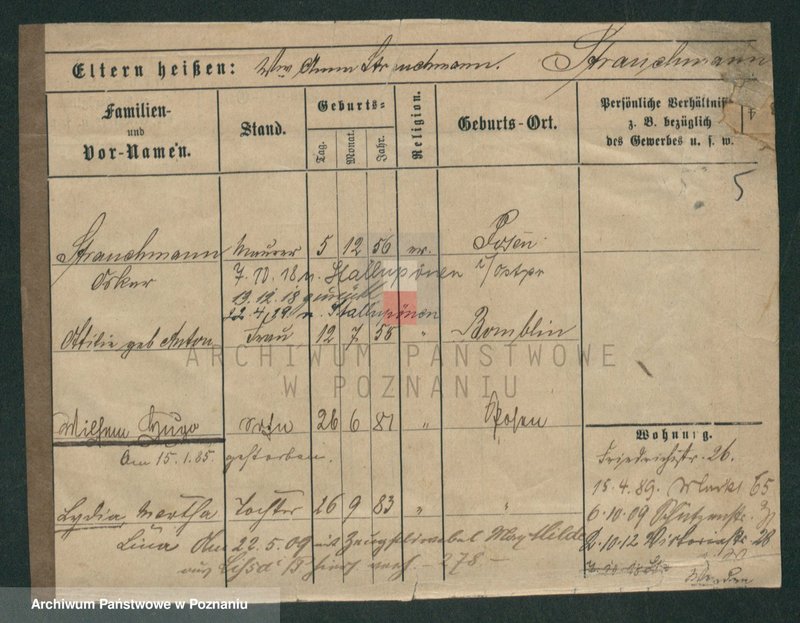 Obraz 12 z jednostki "Strauchman - Striwy (Strü...)"