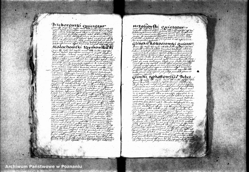 Obraz 11 z jednostki "Inscriptiones [inducta]"