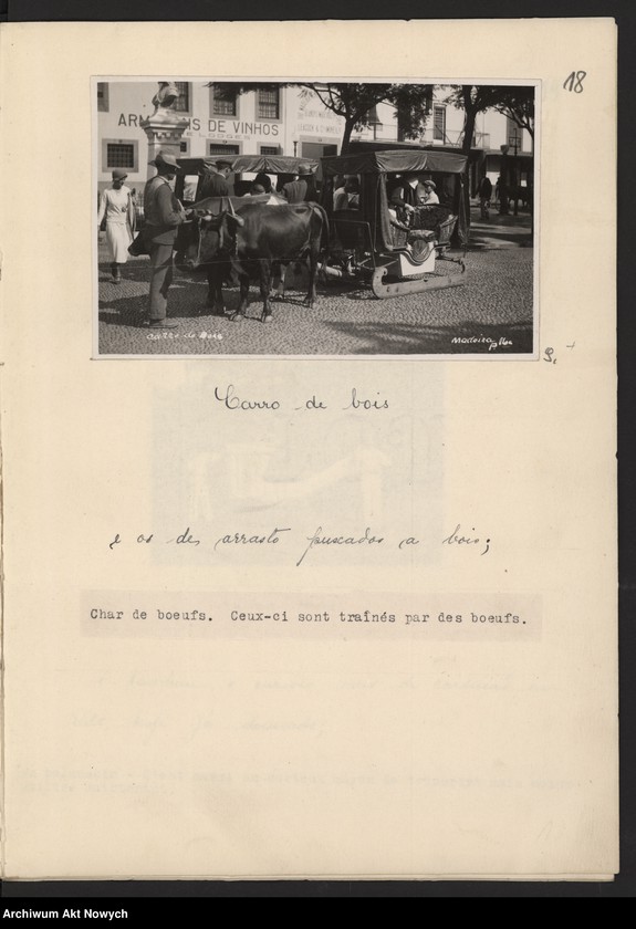 Obraz 15 z kolekcji "Madera111"