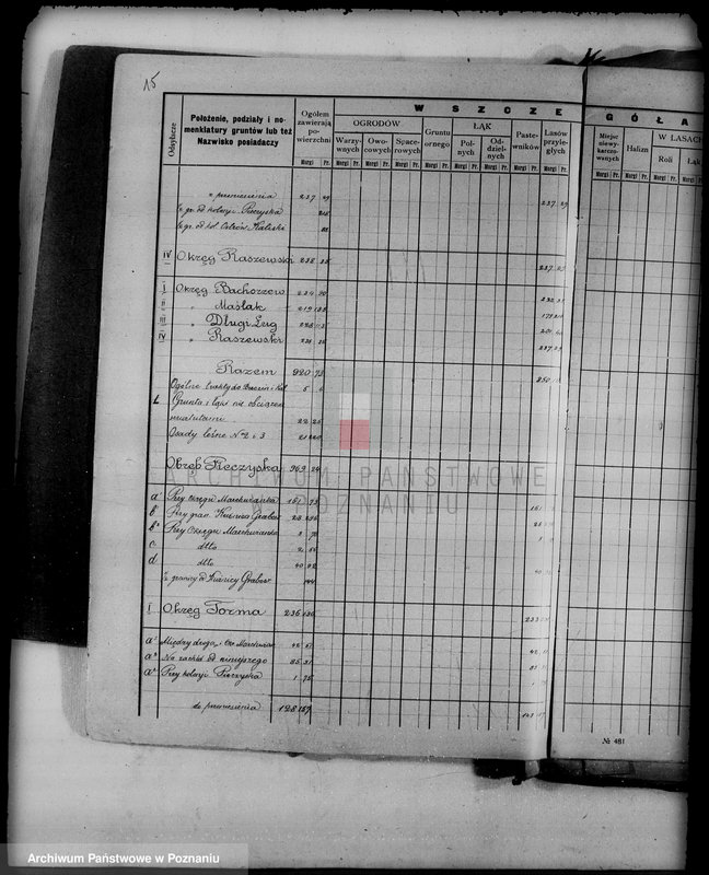 Obraz 20 z jednostki "/Las miasta Kalisza nadzór nad gospodarką/"