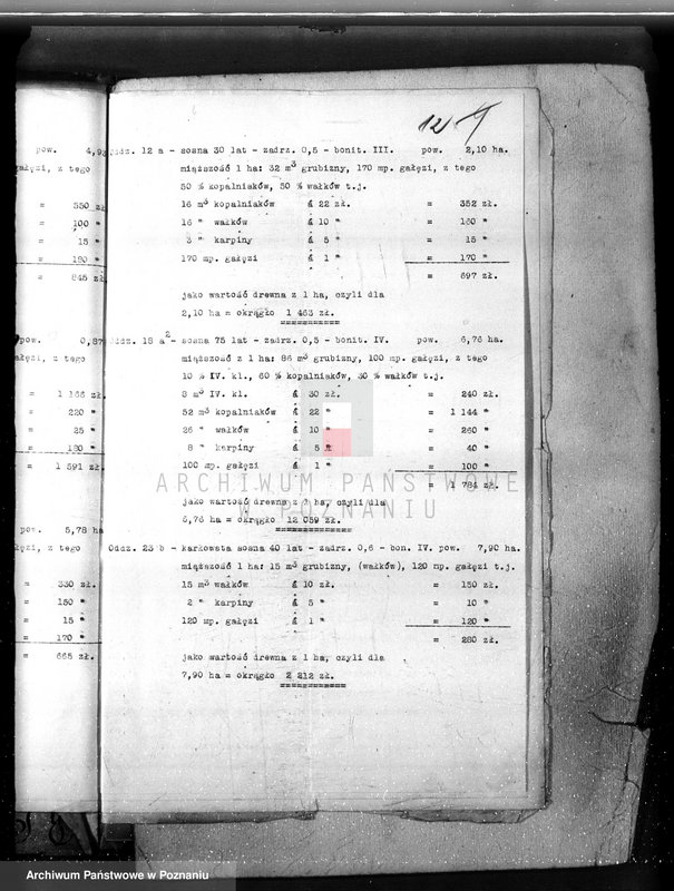 Obraz 16 z jednostki "Majętność leśna Porażyn w powiecie nowotomyskim"