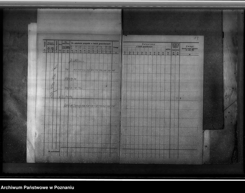 Obraz 17 z jednostki "Majętność leśna Węgierskie powiat średzki [opis lasu i plan cięć]"