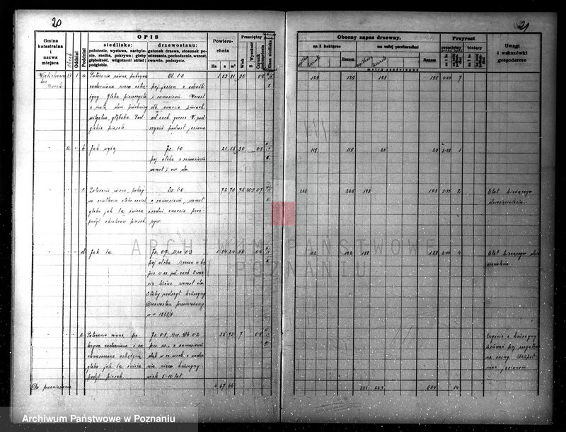 Obraz 18 z jednostki "Plan gospodarczy lasów Wydziału Wielichowo Teresy ks. Lubomirskiej na dziesięciolecie 1935/36-1944/45"