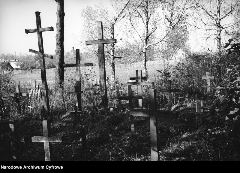 image.from.unit.number "Białowieża"