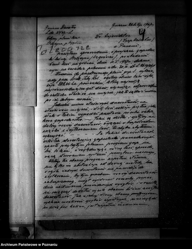 Obraz 8 z jednostki "Majętność leśna Stołężyn powiat wągrowiecki"