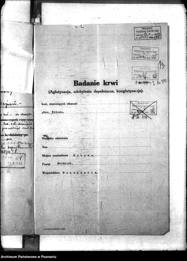 Obraz 18 z jednostki "Nosacizna - Grodzisk"