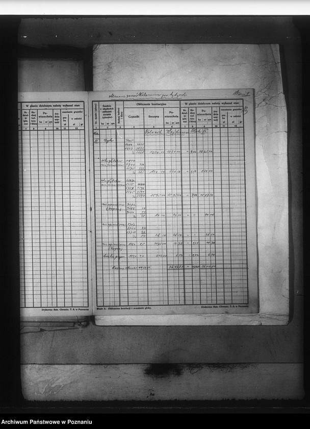 Obraz 20 z jednostki "Rejestr upraw i zasiewów dokonanych w jesieni 1935 r. w majątku Kotomierz powiatu bydgoskiego"