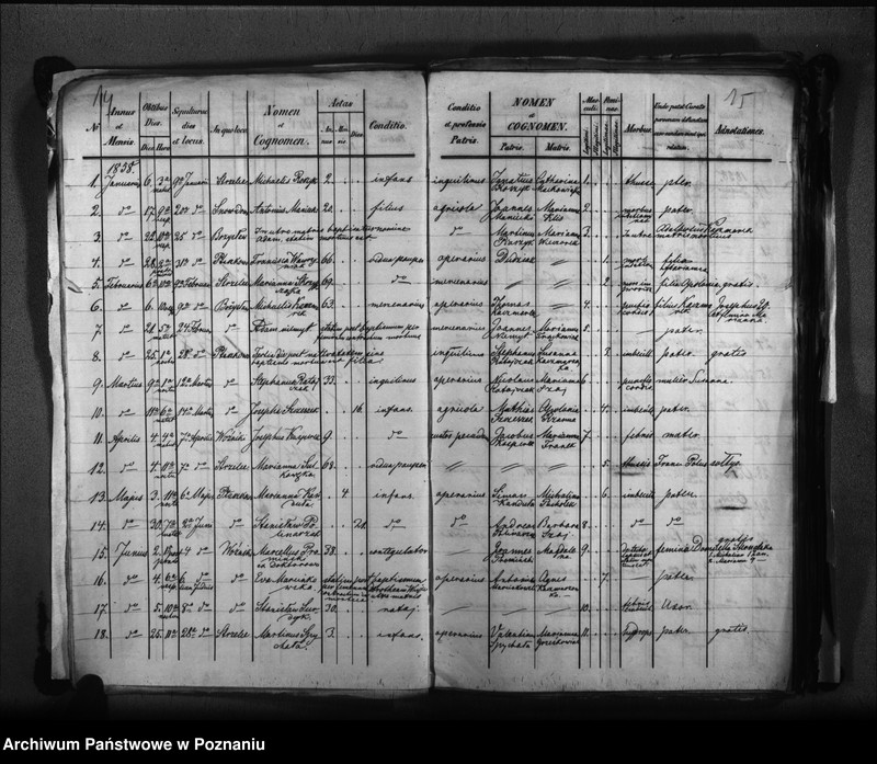 Obraz 12 z jednostki "Liber baptisatorum, copulatorum, mortuorum"