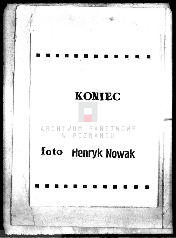 Obraz 11 z jednostki "Drzewostan majętności Pałczyn"