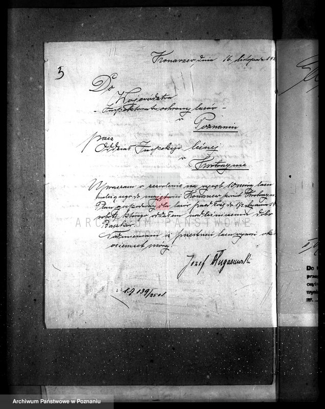 Obraz 8 z jednostki "Majętność leśna Konarzewo powiat krotoszyński"