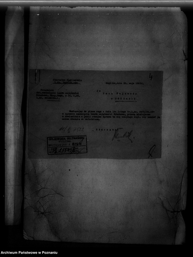 Obraz 8 z jednostki "/Majętność leśna Ruchowo powiat mogileński/"