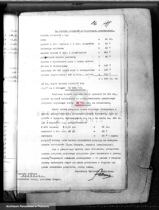 Obraz 20 z jednostki "Majętność leśna Porażyn w powiecie nowotomyskim"