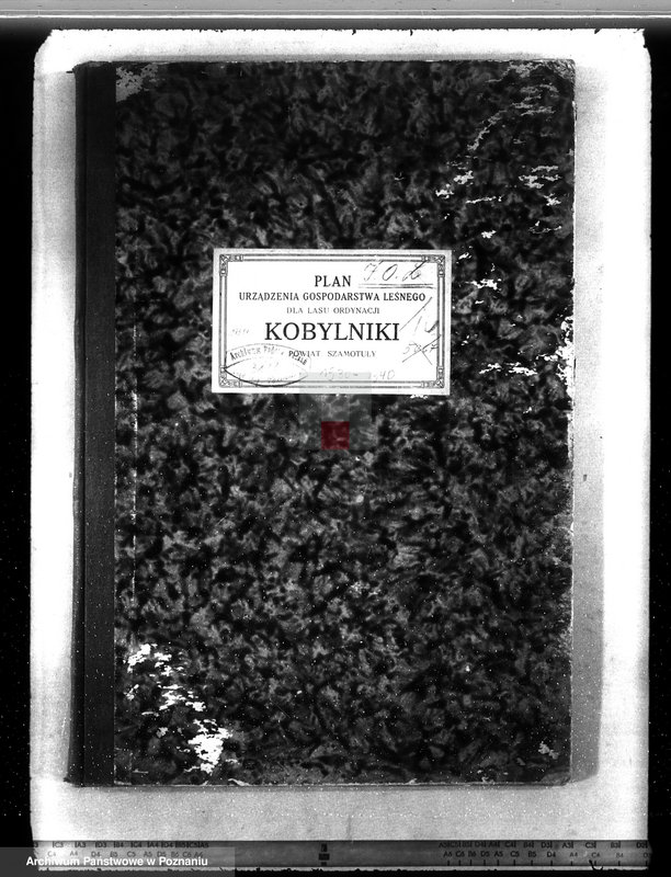 Obraz 4 z jednostki "Plan urządzenia gospodarstwa leśnego dla lasu ordynacji Kobylniki powiat szamotulski 1930-1940"
