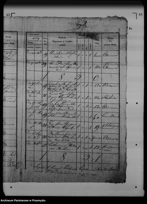 Obraz 7 z jednostki "[Kopie ksiąg metrykalnych parafii Rudki (dekanat Rudki)]"