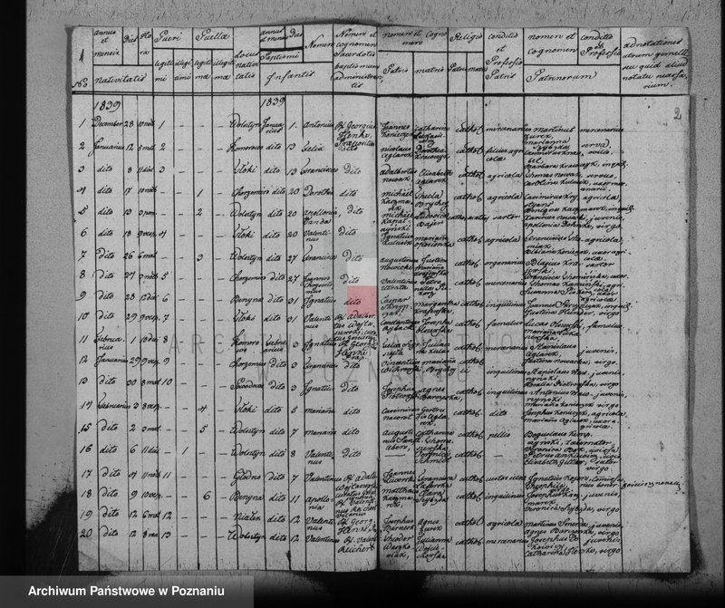 image.from.unit "Duplikat der Gebornen"